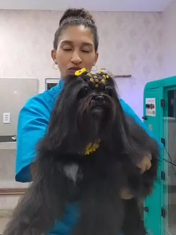 Tosadora segurando um cachorro de pelo preto e longo, de laço amarelo, depois do banho